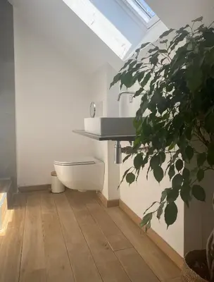 a bathroom with a toilet and a sink and a plant at Hoeve De Kleinheide - De Schuur in Dessel