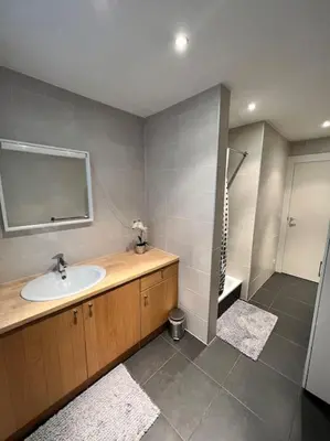 a bathroom with a sink and a shower at Casa Alness in Wetteren