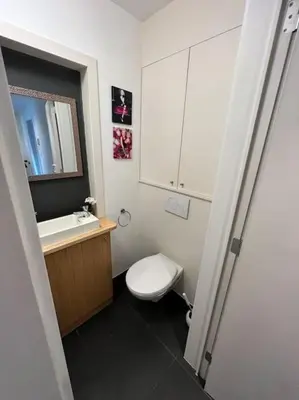 a bathroom with a toilet and a sink and a mirror at Casa Alness in Wetteren