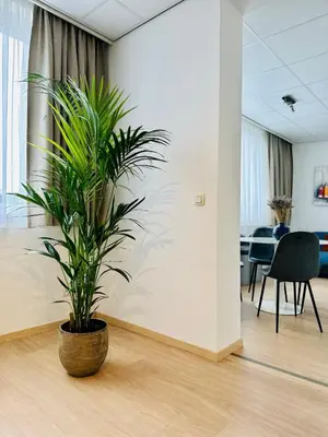 a potted plant sitting on the floor in an office at Urbanstay Suites - Grand Place 2 Bd Penthouse in Brussels