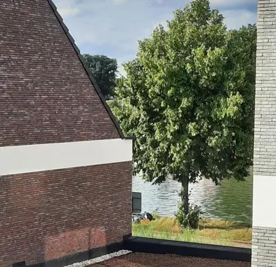 a view of a tree from a brick building at BnB Waterzicht in Wijnegem