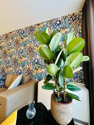 a plant in a pot on a table in a room at Urbanstay Suites Apartment In Charming Sablon in Brussels