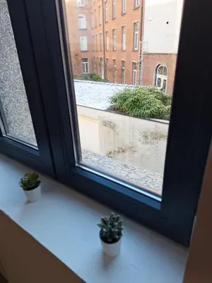 a window with two potted plants on a window sill at Huis ALNA 4 in Mechelen