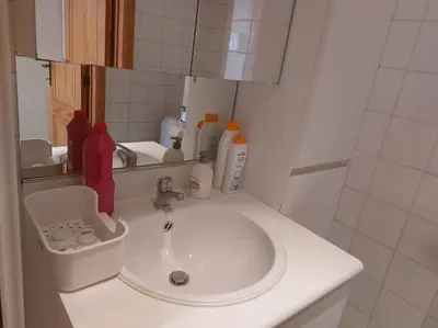 a bathroom counter with a sink and a mirror at Charming 1-Bedroom Apartment in Brussels
