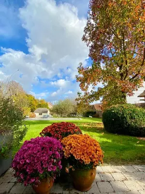 a group of flowers in pots in a yard at B&B Aline Florentine - adults only - Luxury B&B - Chambres d'Hôtes - Zimmer Frei in Kortenberg