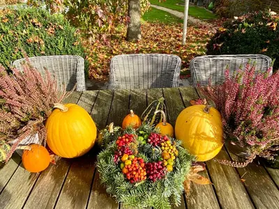 a bunch of pumpkins and fruit on a wooden table at B&B Aline Florentine - adults only - Luxury B&B - Chambres d'Hôtes - Zimmer Frei in Kortenberg