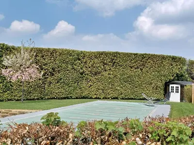 a garden with a large hedge and a tennis court at Wood-and-work in Wavre