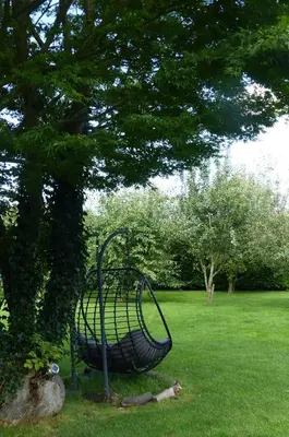 a park bench sitting under a tree in the grass at Wood-and-work in Wavre