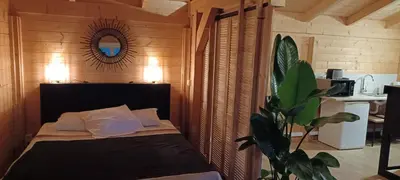 a bedroom with a bed with a mirror and a plant at Wood-and-work in Wavre