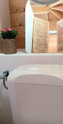a white toilet in a bathroom with a plant at Wood-and-work in Wavre