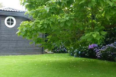 a yard with green grass and purple flowers and a house at Wood-and-work in Wavre
