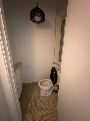 a bathroom with a toilet with a black seat at Cosy apartment with park view in Ghent