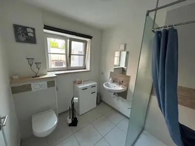 a bathroom with a toilet and a sink at Duivenboshuisje in Herzele