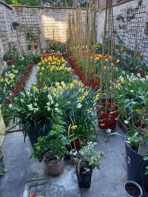 a garden filled with lots of plants and flowers at Your homestay in a bibliophile mansion in Antwerp