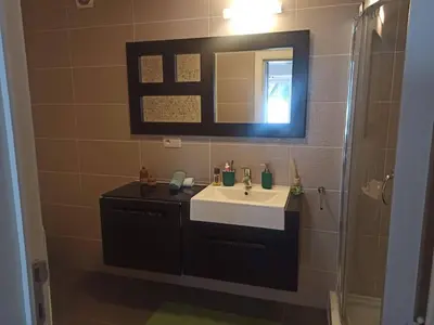 a bathroom with a sink and a mirror and a shower at Lux & Cozy Apt + Garden +Jaccuzi in Antwerp