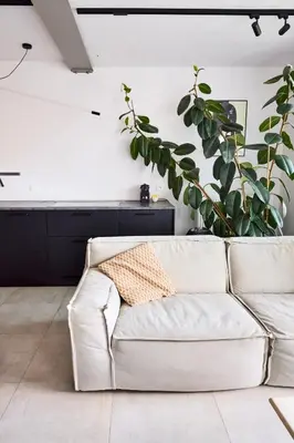 a white couch in a living room with a plant at The Banker Antwerpen - Free Parking in Antwerp