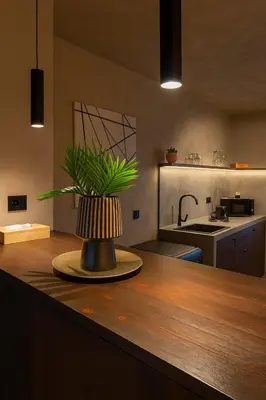 a kitchen with a potted plant on a counter at Cityview Modern Apartment with Balcony in Antwerp