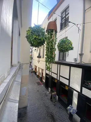an alley with potted plants on the side of a building at Apartament duplex in Brussels