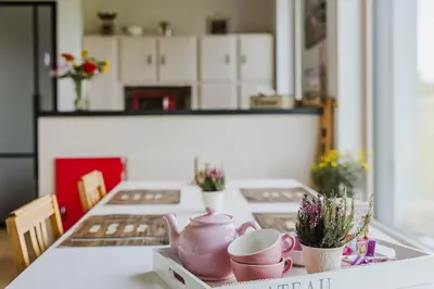 a table with a pink tea pot and cups on it at ScraB&Ble Ecologische gastenkamers in Bornem