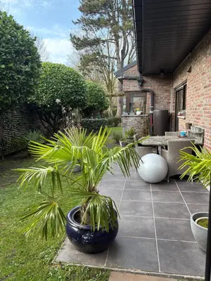 a patio with two potted plants in a yard at Efes home in Ghent