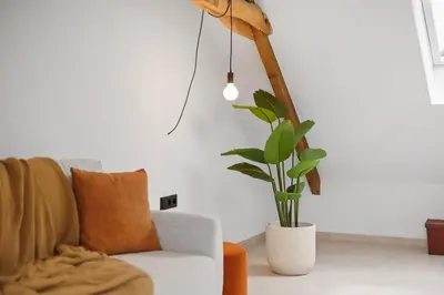 a living room with a couch and a potted plant at The barn - Waasmunster in Waasmunster