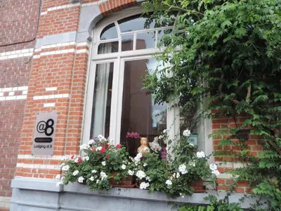 a window of a brick building with flowers at B&B Lodging At 8 in Leuven