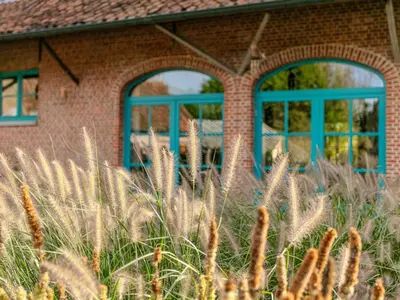 a brick building with blue windows and tall grass at Alverwege 2 in Merksplas