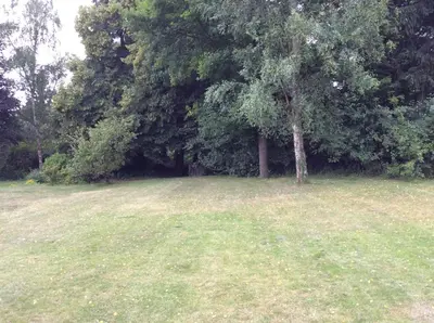 a field with a tree in the middle of it at B&B Uccle in Brussels