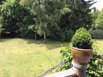 a plant in a pot on a fence in a yard at B&B Uccle in Brussels