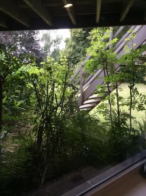 a view of a garden from a window with plants at B&B Uccle in Brussels