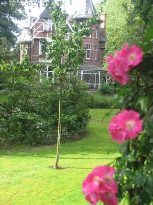 a tree in front of a house with pink flowers at B&B Villa Emma in Ghent