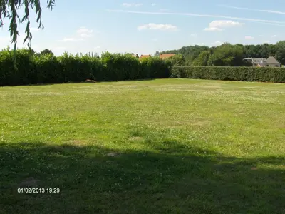 a large field of grass with a tree in the background at Wenceslas Cobergher II Appartementen 2 of 4 in Boutersem
