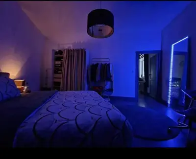 a bedroom with a bed in a blue room at Ailes Center 3 in Brussels