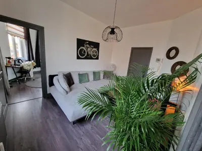 a living room with a couch and a potted plant at Ailes Center 3 in Brussels