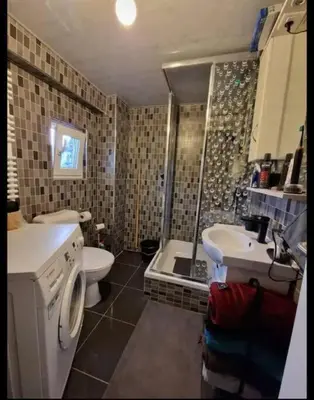 a bathroom with a sink and a toilet and a shower at Ailes Center 3 in Brussels