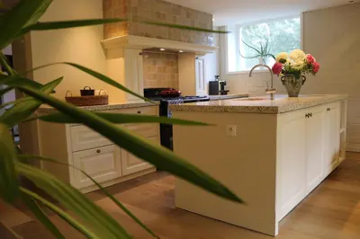 a kitchen with a counter with a vase of flowers on it at Rustiek vakantiehuis in 't groen in Lier