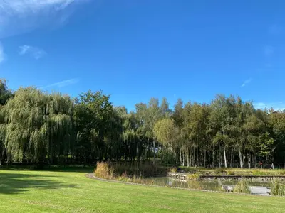 a park with a pond and trees in the background at Rustiek vakantiehuis in 't groen in Lier