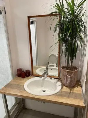 a bathroom sink with a mirror and a potted plant at Gezellig gerenoveerd herenhuis in het centrum in Antwerp