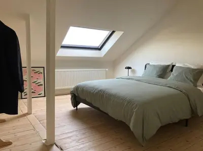 a bedroom with a large bed with a skylight at Gezellig gerenoveerd herenhuis in het centrum in Antwerp