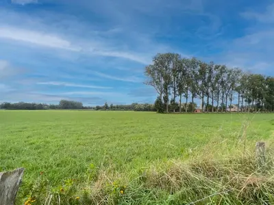 a field of green grass with trees in the background at Lindehoeve in Turnhout