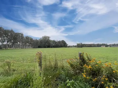 a field of grass with a fence and flowers at Lindehoeve in Turnhout
