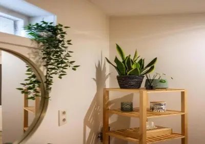 a room with a mirror and plants on a wall at Cozy 3BR Home near Meir in Antwerp City Centre in Antwerp