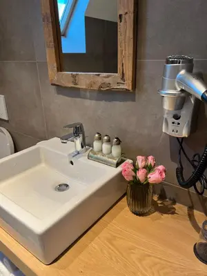a bathroom sink with a vase of flowers on a counter at Elinoa in Machelen
