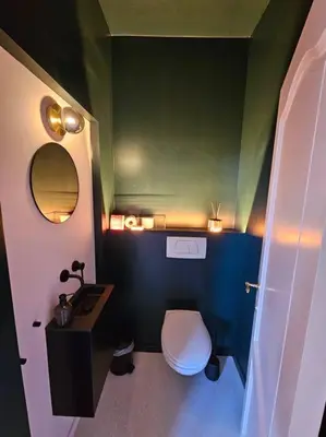 a small bathroom with a toilet and a sink at BNB Green refuge: Vakantiehuis met zeer grote tuin in Londerzeel