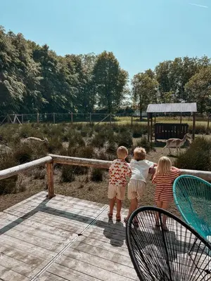 three children standing on a deck looking at a giraffe at KARIBU - Olifant in Kasterlee