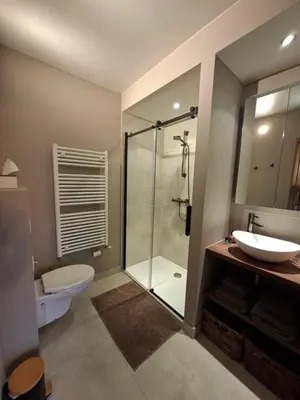 a bathroom with a shower and a toilet and a sink at B&B Fragaria in Hoogstraten
