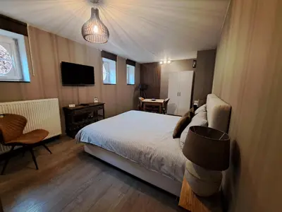 a bedroom with a bed and a desk and a television at B&B Fragaria in Hoogstraten
