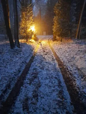 a snow covered road with the sun in the background at Kokoon in 't groen in Leuven