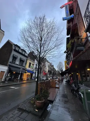 a tree on the sidewalk of a city street at My Haus European Commision in Brussels