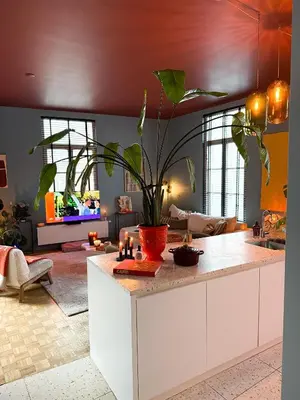 a kitchen with a island with a potted plant on it at Kleurrijke nieuwe woonst in hartje Antwerpen in Antwerp